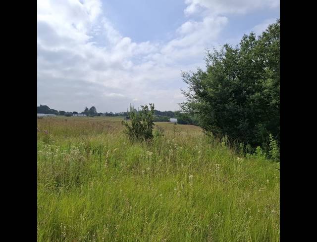 LAND FOR SALE IN RIETFONTEIN